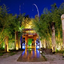 Bambuddha Grove