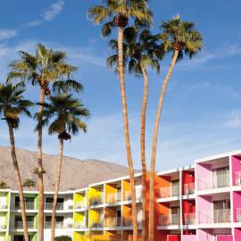 The Saguaro
