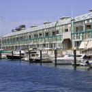 Blue Sydney